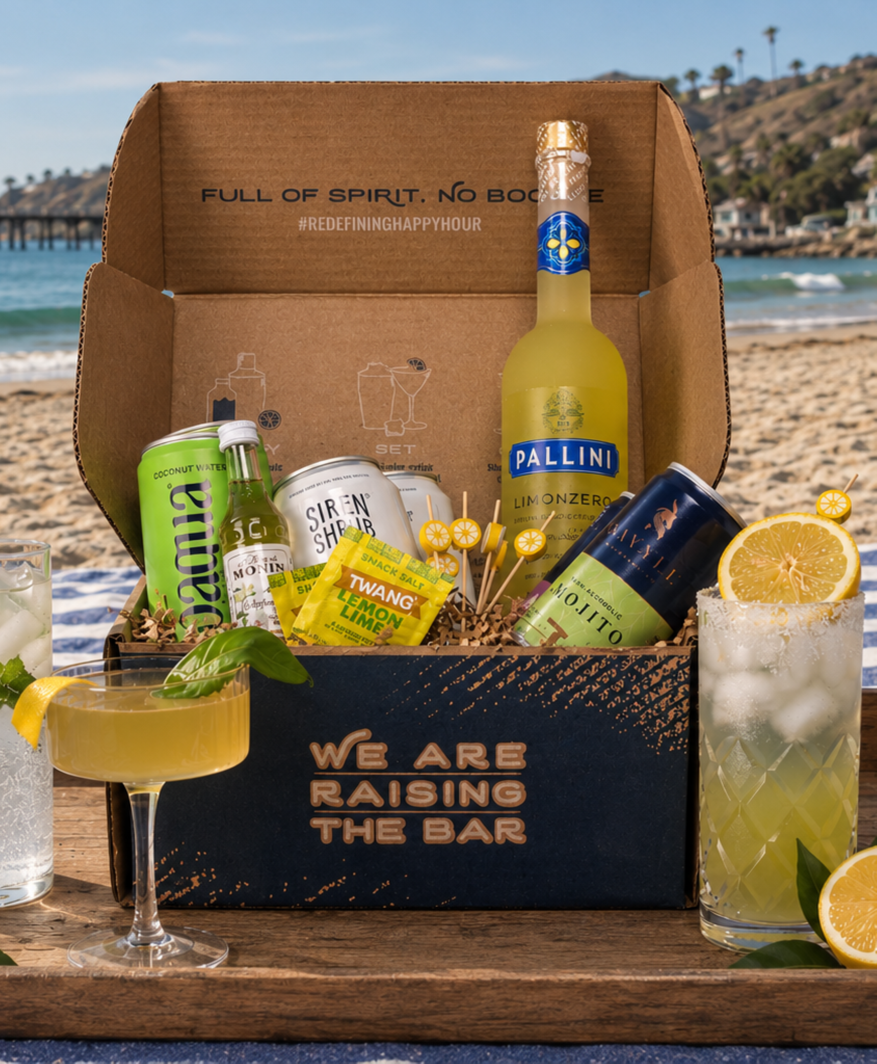 Sunny Shores Zero-Proof Cocktail Kit – We Are Raising The Bar