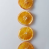Crispy Orange Slices Snack Pack