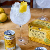 Tinis & Tonics Zero-Proof Cocktail Kit
