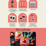 Berry & Bright Shrub Zero-Proof Cocktail Kit (Pre-Sale)