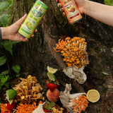 Strawberry Peach Sparkling Mushroom Drink (12oz)