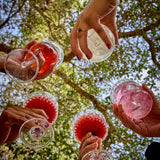 Spellbound Zero-Proof Cocktail Kit