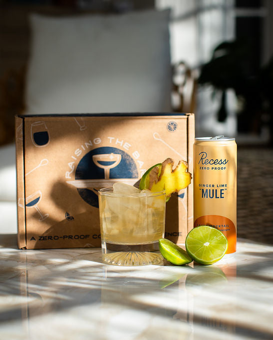 The Shrub Club Zero-Proof Cocktail Kit – We Are Raising The Bar
