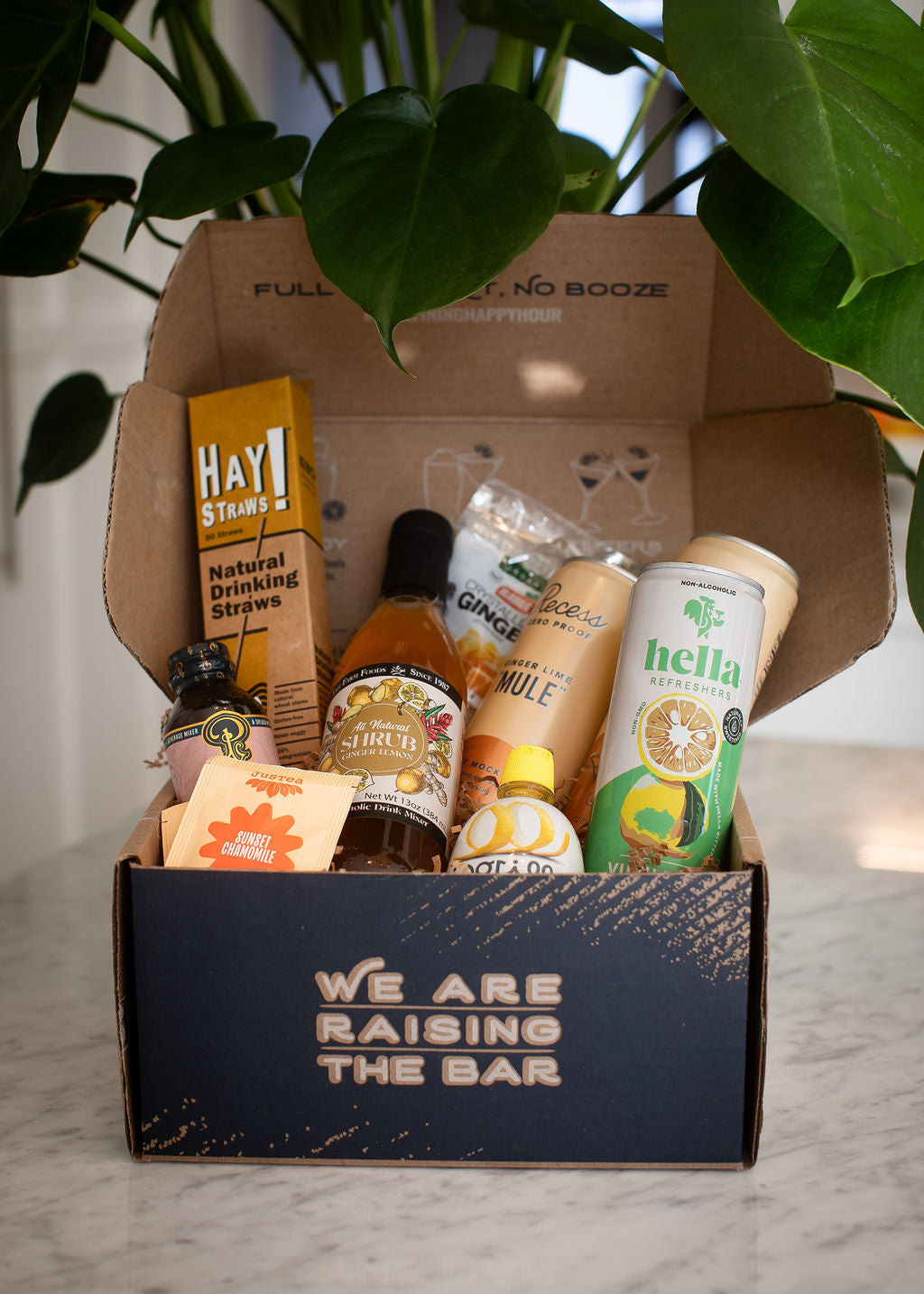 Up Next: The Shrub Club Zero-Proof Cocktail Kit