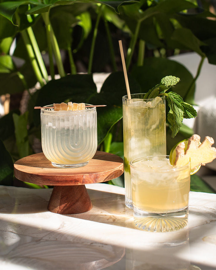 The Shrub Club Zero-Proof Cocktail Kit – We Are Raising The Bar