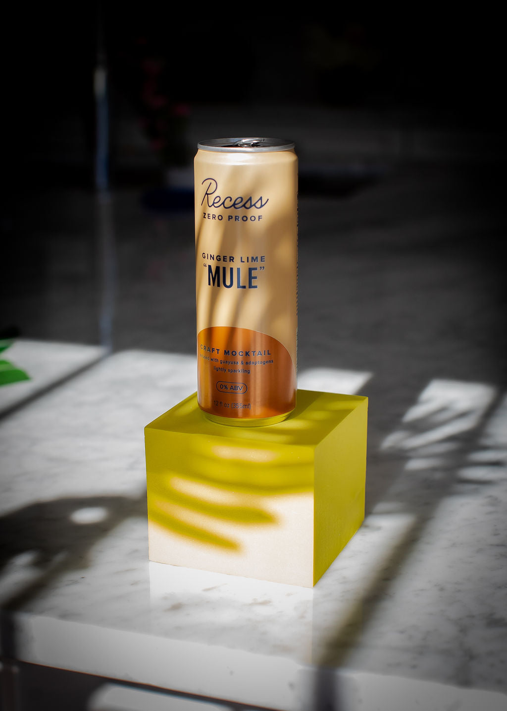 The Shrub Club Zero-Proof Cocktail Kit – We Are Raising The Bar