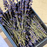 Dried Lavender Cocktail Picks