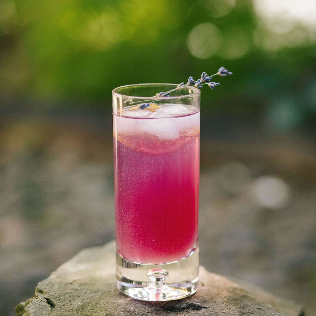 A zero-proof pink drink on a rock with lavender sprigs.